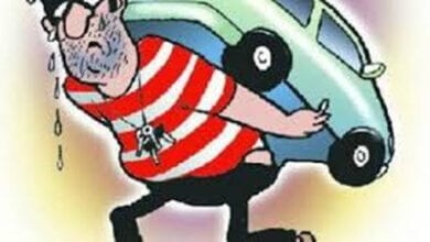 Bolero-thief-amravati-mandal