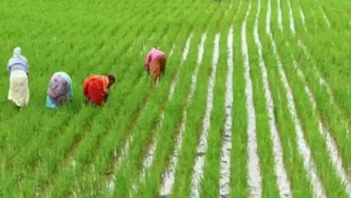 Farmar-amravati-mandal