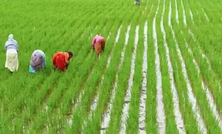 Farmar-amravati-mandal