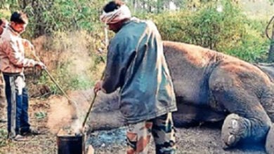 Ayurvedic-Chopping-amravati-mandal