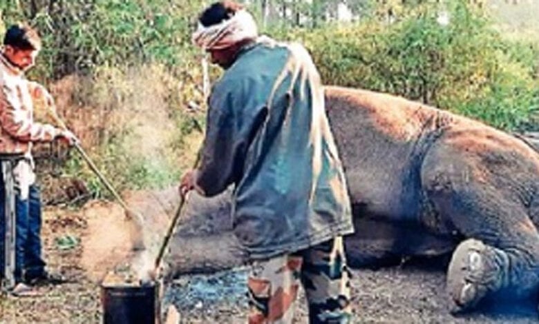 Ayurvedic-Chopping-amravati-mandal
