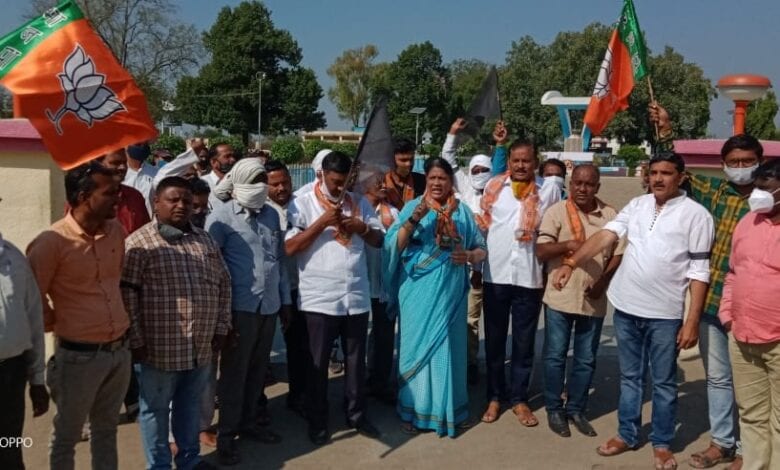 bjp anadolan