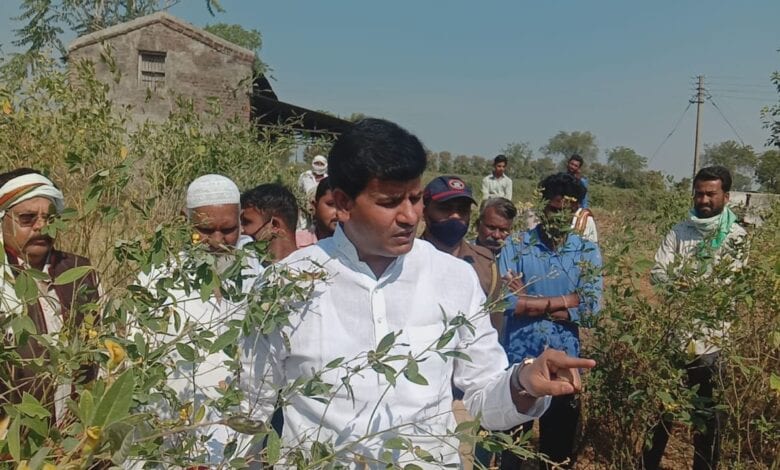 Ravi-rana-amravati-mandal