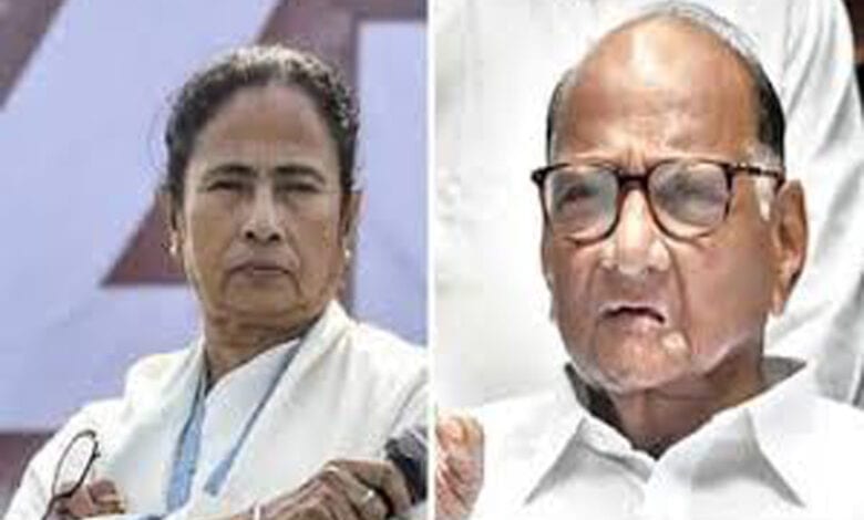 Mamta-Pawar-Amravati-Mandal copy