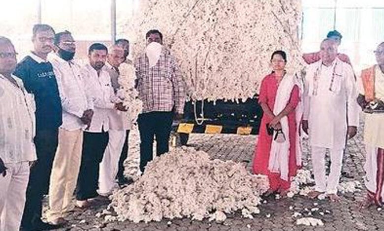 Cotton-Purchased-amravati-mandal