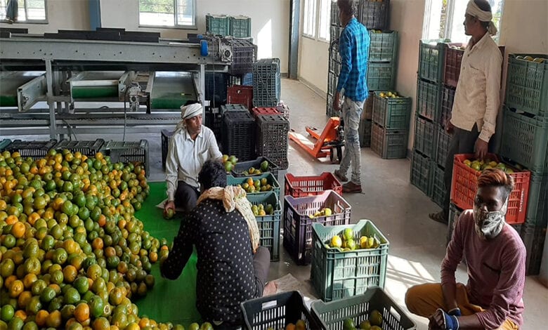 Orange-Amravati-Mandal