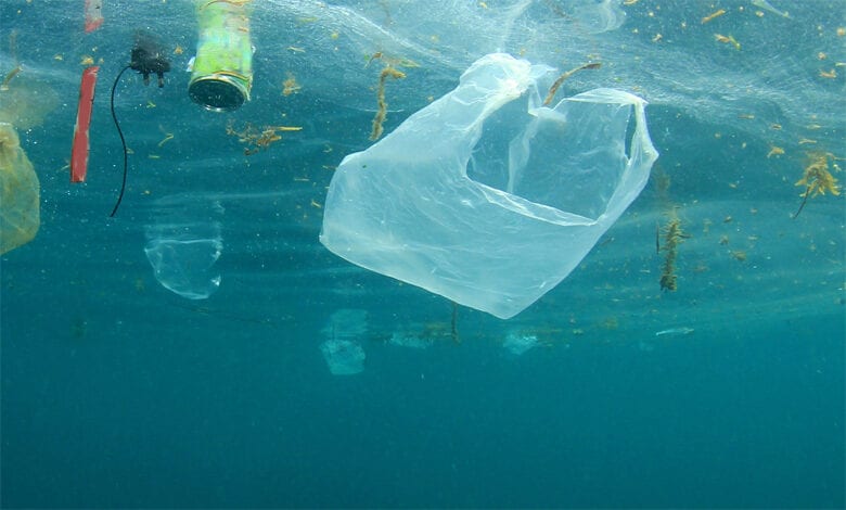 Plastic-Bag-Amravati-Mandal