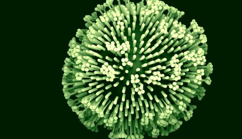 Virus-Amravati-Mandal