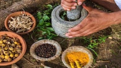 ayurvedic-amravati-mandal