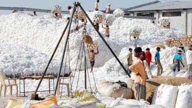 cotton-purchage-center-amravati-mandal