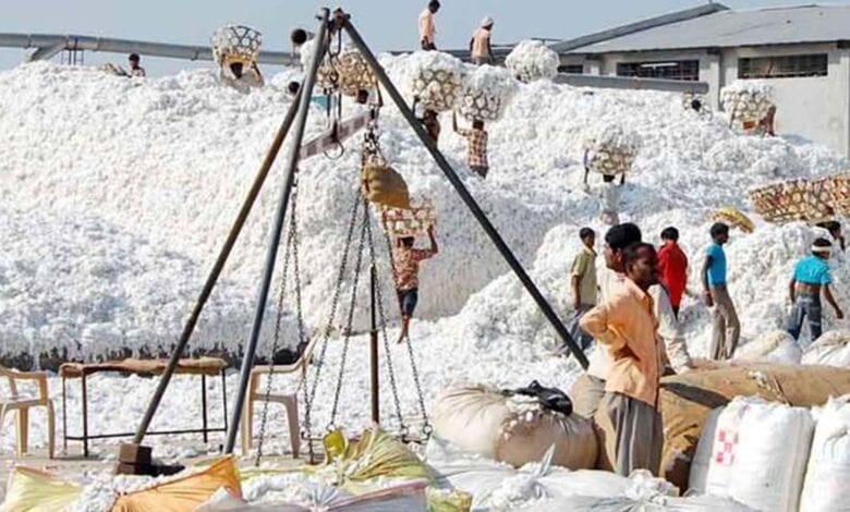 cotton-purchage-center-amravati-mandal