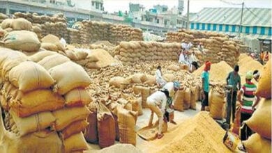 grain-amravati-mandal