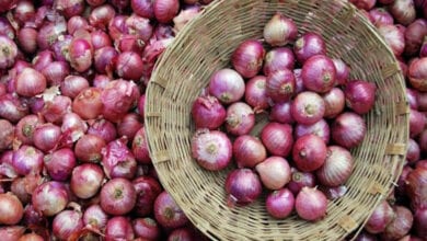 onion-amravati-mandal