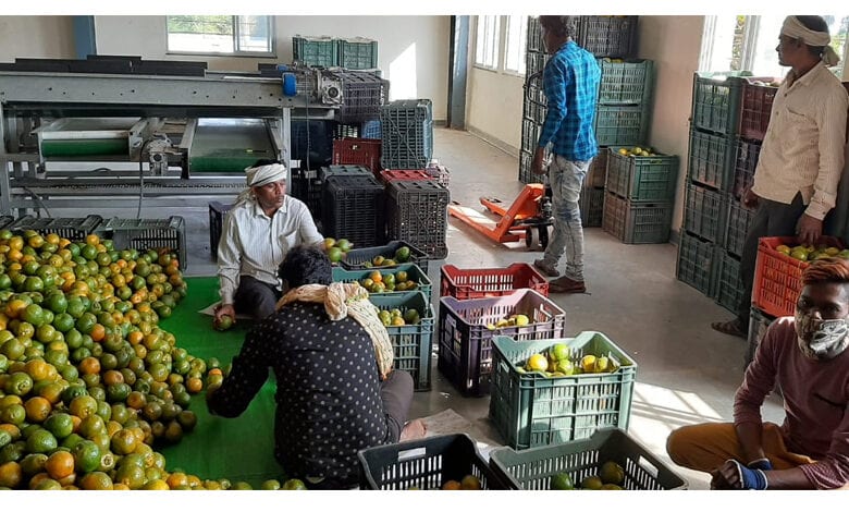 orange-amravati-mandal