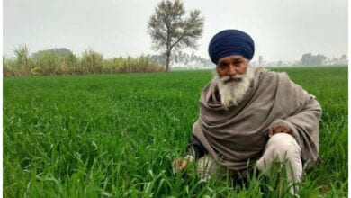 punjab-amravati-mandal