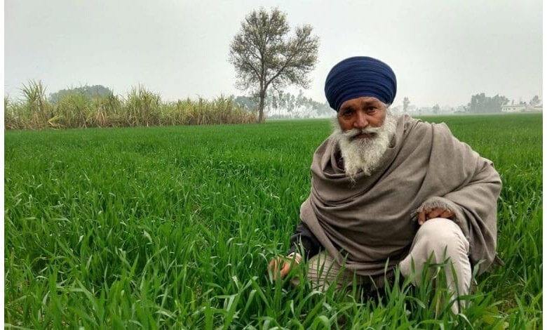 punjab-amravati-mandal