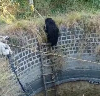 Bhalu-Amravati-Mandal