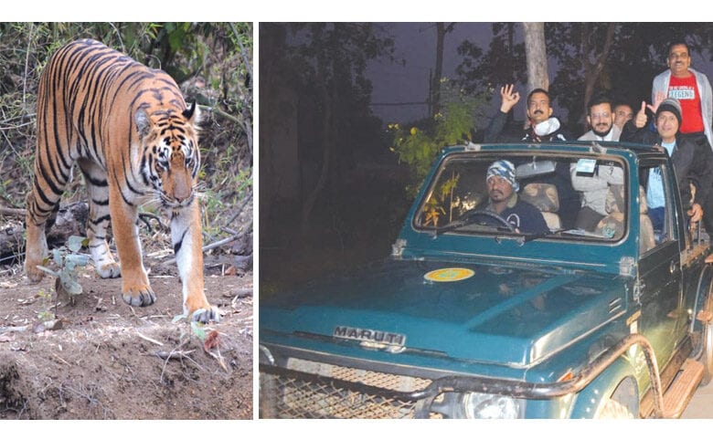 tiger-amravati-mandal