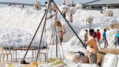 Cotton-Purchased-amravati-mandal