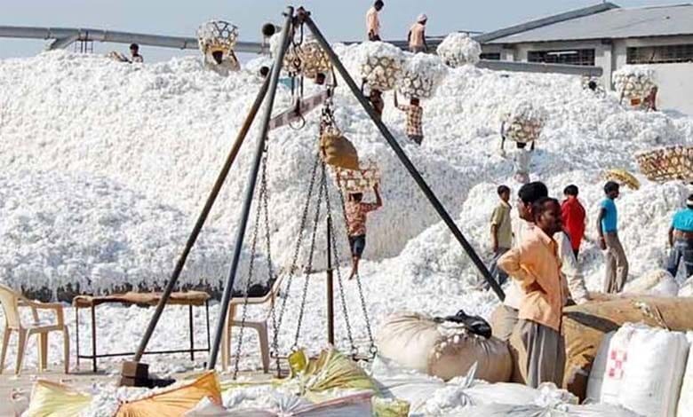 Cotton-Purchased-amravati-mandal