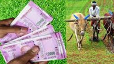 Farmers-amravati-mandal