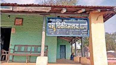 animal-treatment-amravati-mandal
