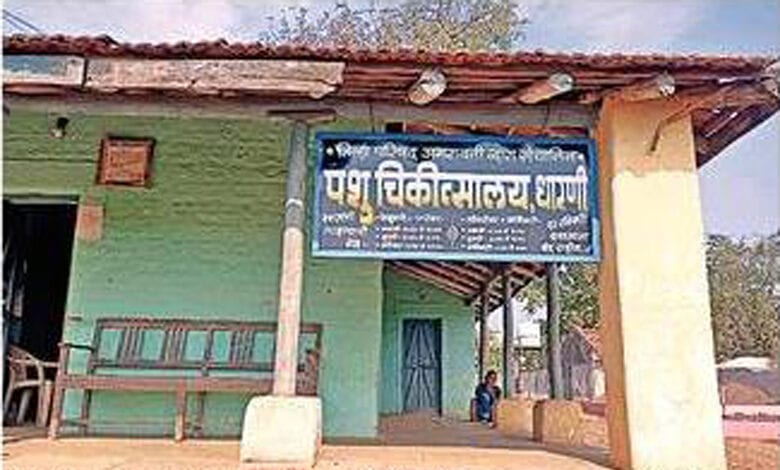 animal-treatment-amravati-mandal