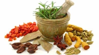 Ayurveda-and-Siddha-Medicine-amravati-mandal