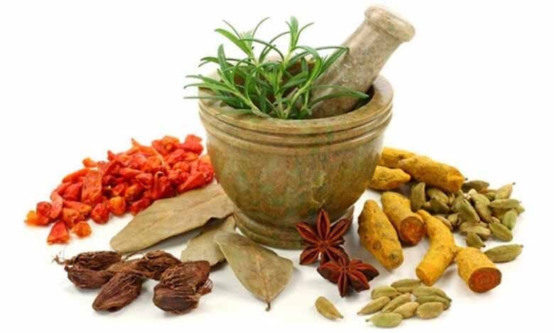 Ayurveda-and-Siddha-Medicine-amravati-mandal