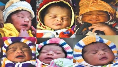 Babys-Amravati-Mandal