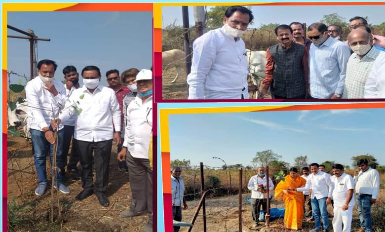Gau-Seva-Amravati-Mandal