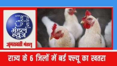 Video-Amravati-Mandal