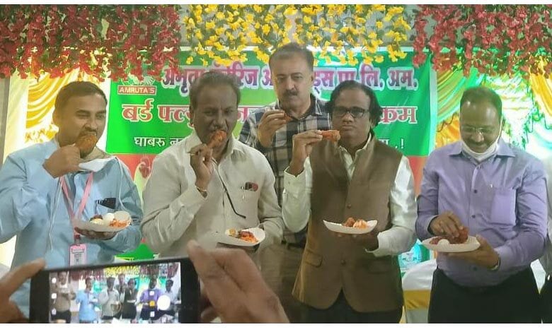 chicken-amravati-mandal
