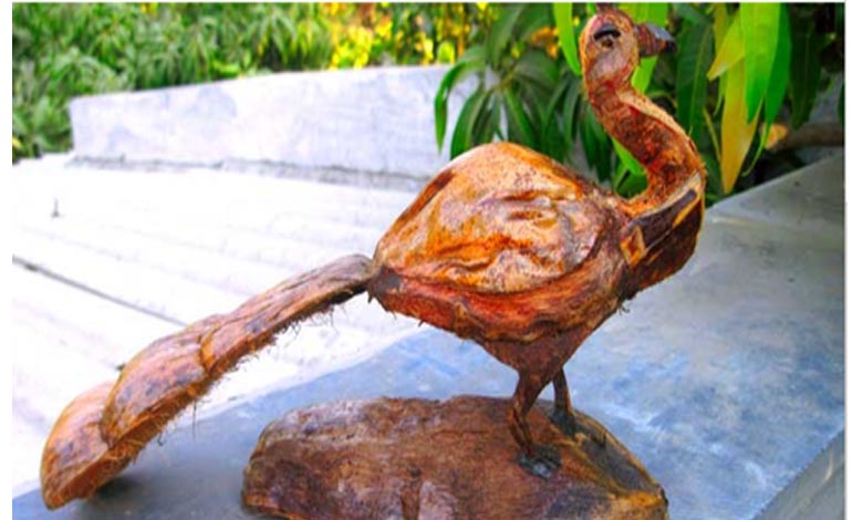 coconut-artwork-amravati-mandal