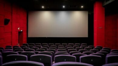 Cinema-houses-amravati-mandal