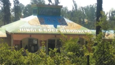jungle-safari-amravati-mandal
