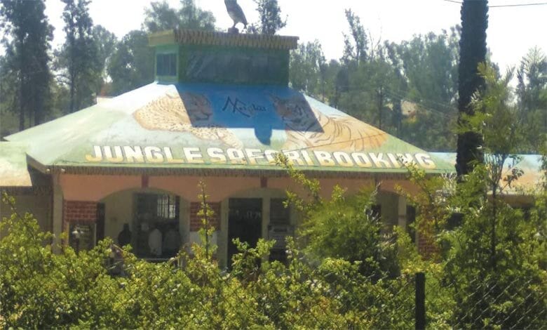 jungle-safari-amravati-mandal