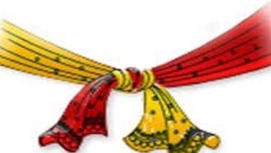 Shadi-Amravati-Mandal