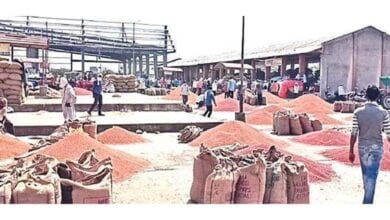 Tuar-Market-amravati-mandal