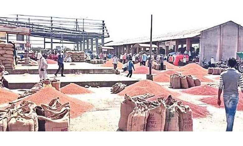 Tuar-Market-amravati-mandal