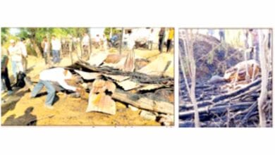 Gotha-Burnt-amravati-mandal