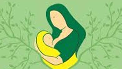 Pregnant-women-amravati-mandal