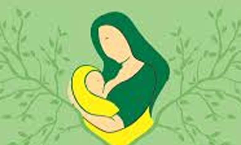 Pregnant-women-amravati-mandal