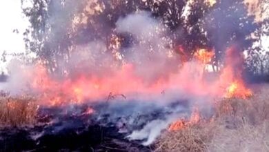 Chirodi-forest-fire-amravati-mandal