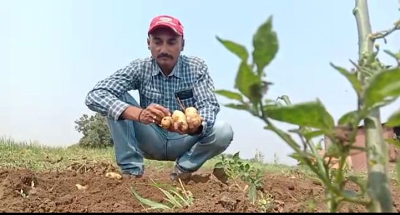 AAloo-Ammravati-Mandal