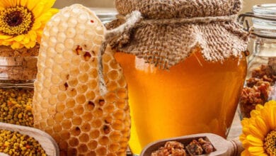 Honey-Amravati-Mandal