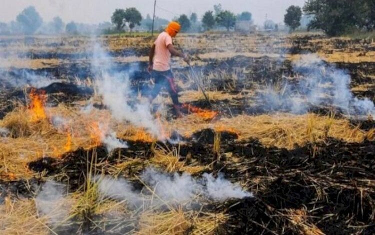 Punjab-Amravati-Mandal