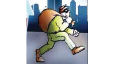 Thief-Amravati-Mandal