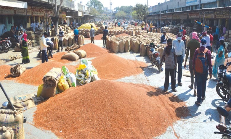 cotton-market-amravati-mandal