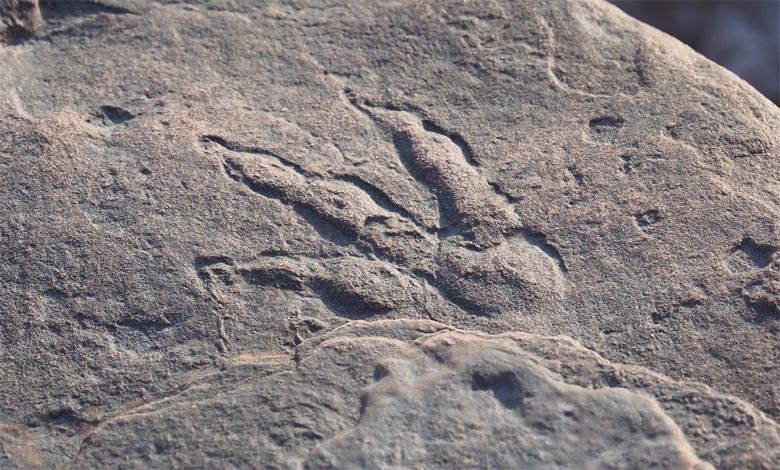 foot-prints-amravati-mandal